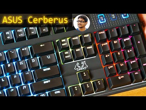 Asus CERBERUS RGB Mechanical Gaming Keyboard Review!