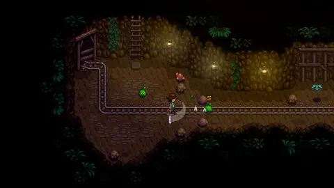Stardew Valley gameplay screenshot 2