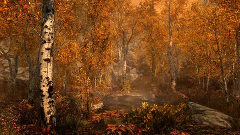 Skyrim Special Edition screenshot 3