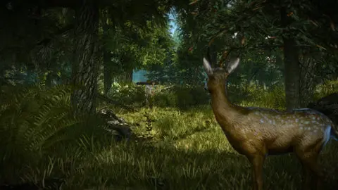 The Witcher 2 screenshot 2