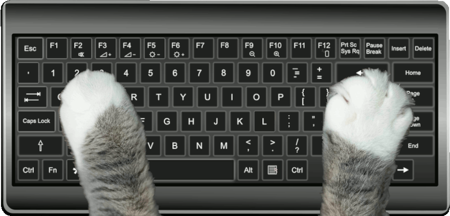 typing cat 
