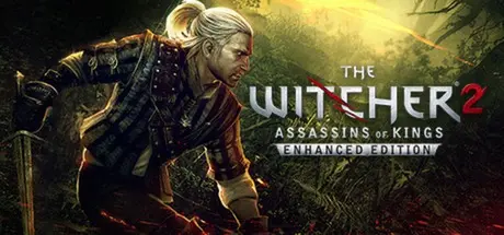 The Witcher 2 - Best PC Games Under 30GB Size