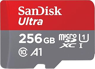 Nintendo Switch India 2026: Models, Prices, Best Buys 21 Sandisk 256GB microSD