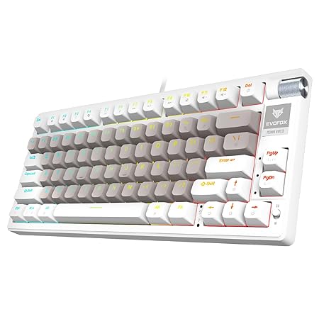 EvoFox Ronin gaming keyboard