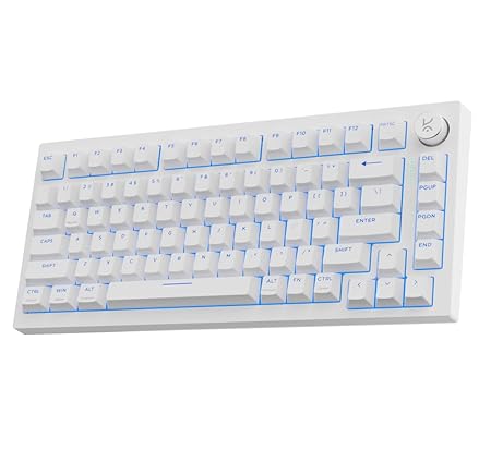 Kreo Swarm X gaming keyboard